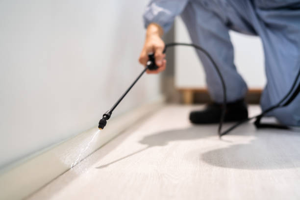 Bed Bug Pre-Treatment Preparation Assessment in Golden Hills