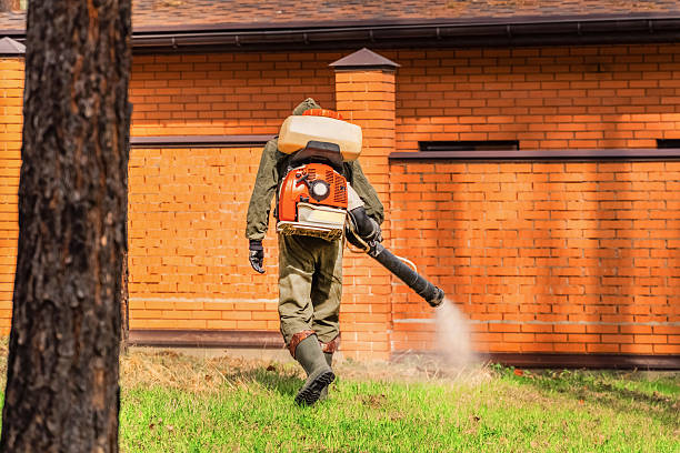 Bed Bug Clearance Verification and Documentation in Golden Hills